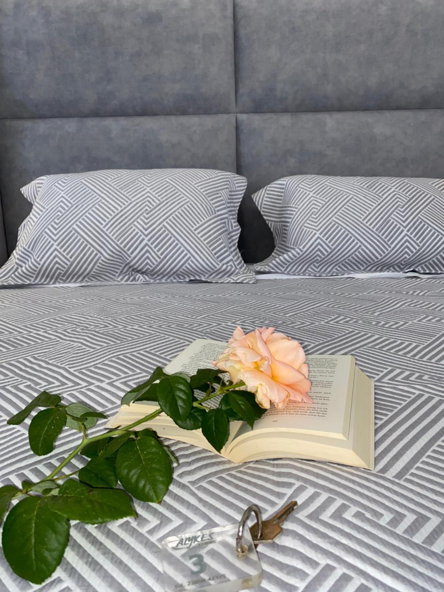 Alykes Studios & Suites Agios Prokopios  Bagian luar foto
